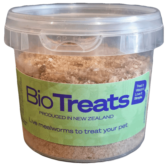 BioTreats - Sustainable Live Mealworms Pet Treats